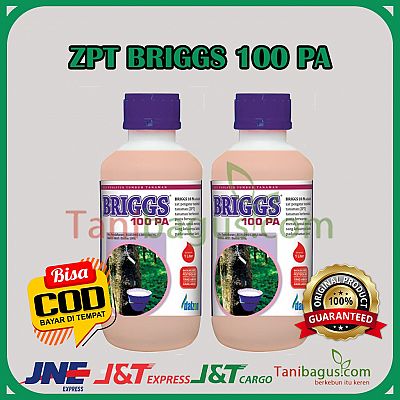 ZPT BRIGSS 100 PA