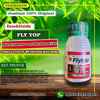 FLYTOP 250 OD