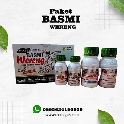 PAKET BASMI WERENG