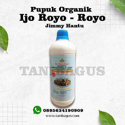 JIMMY HANTU ''IJO ROYO ROYO'' - 1 LITER