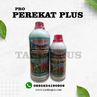 PEREKAT PLUS - 1 LITER