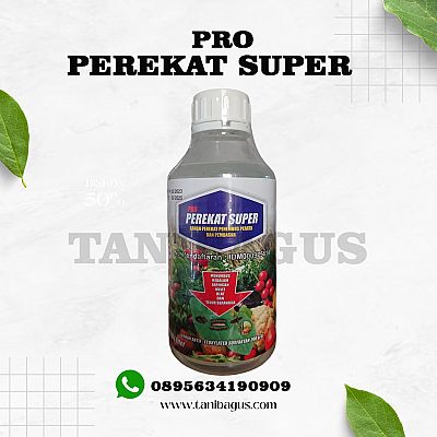 PEREKAT SUPER BB - 1 LITER