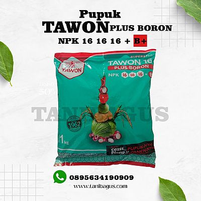 PUPUK TAWON 16 16 16 PLUS BORON  - 1 KG