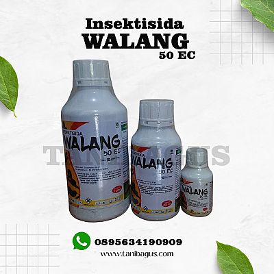 WALANG 50 EC