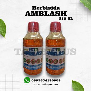 AMBLASH 510 SL - 1 Liter