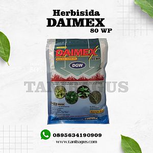 DAIMEX 80 WP - 250 GR