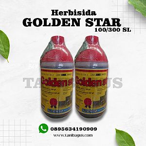 GOLDEN STAR 100/300 SL - 1 LITER