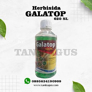 GALATOP 620 SL - 1 LITER