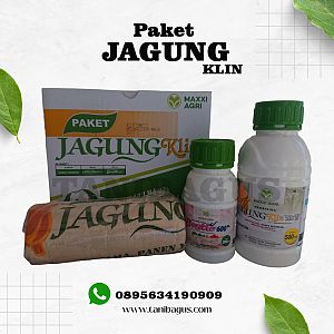PAKET JAGUNG KLIN