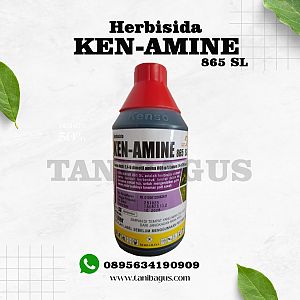 KEN-AMINE 865 SL