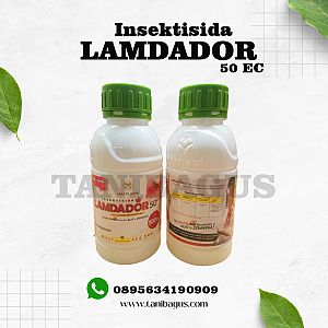 LAMDADOR 50 EC
