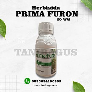 PRIMA FURON 20 WG - 250 GR