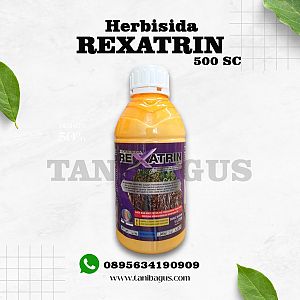 REXATRIN 500 SC - 1 LITER