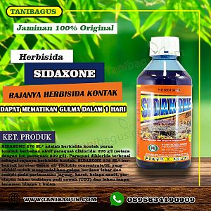 SIDAXONE 276 SL