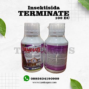 TERMINATE 100 EC