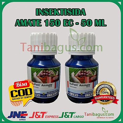 AMMATE 50 ml