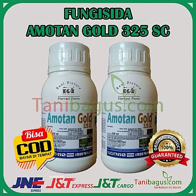 AMOTAN GOLD 325 SC - 250 ml