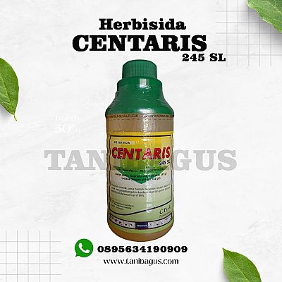 CENTARIS 245 SL