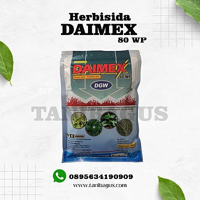 DAIMEX 80 WP - 250 GR