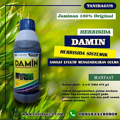 DAMIN 875 SL - 1 Liter