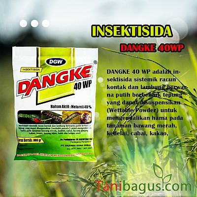 DANGKE 40 WP - 250 gr