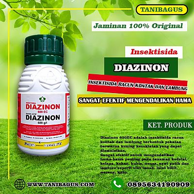 DIAZINON 600 EC - 100 ml