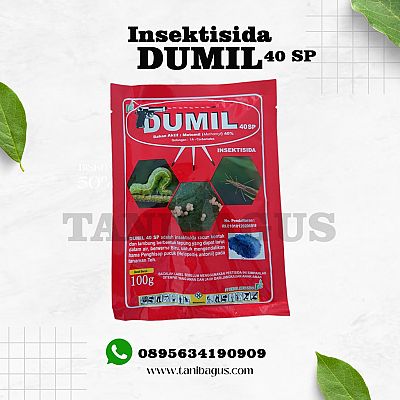 DUMIL 40 SP - 100 GR