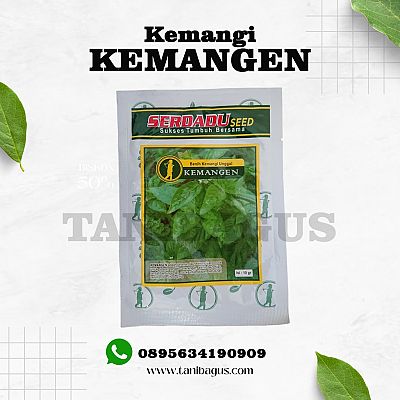 Benih Kemangi Kemangen 10 gr