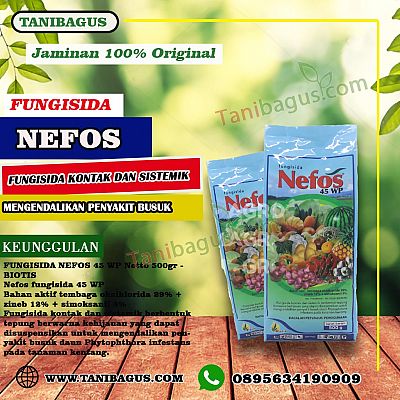 NEFOS 45 WP - 500 gr