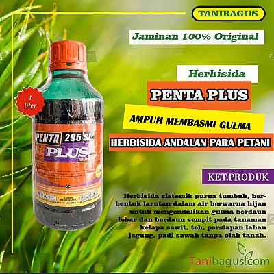 PENTA PLUS 295 SL