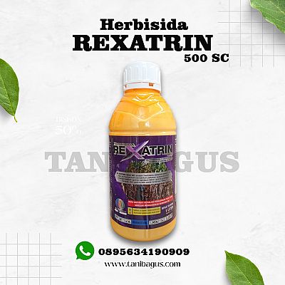 REXATRIN 500 SC - 1 LITER
