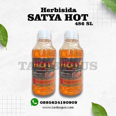 SATYA HOT486 SL - 1 LITER
