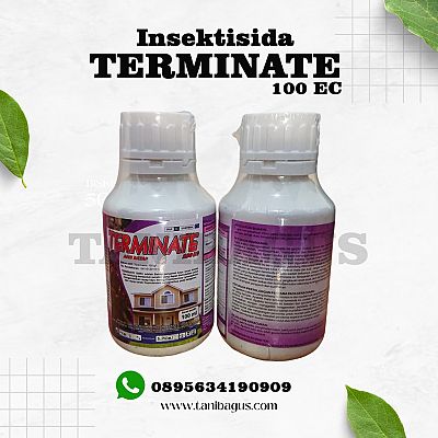 TERMINATE 100 EC
