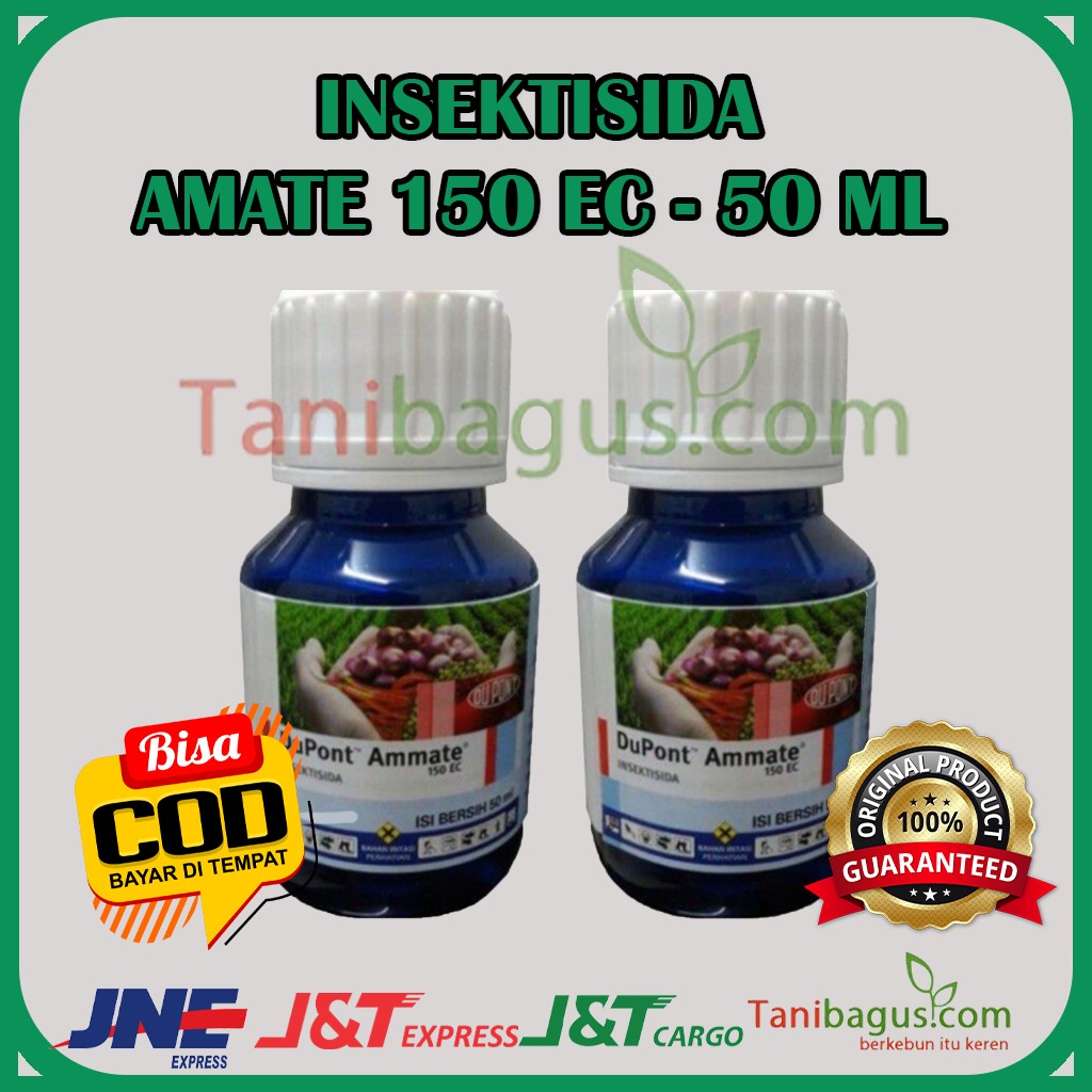 AMMATE 50 ml