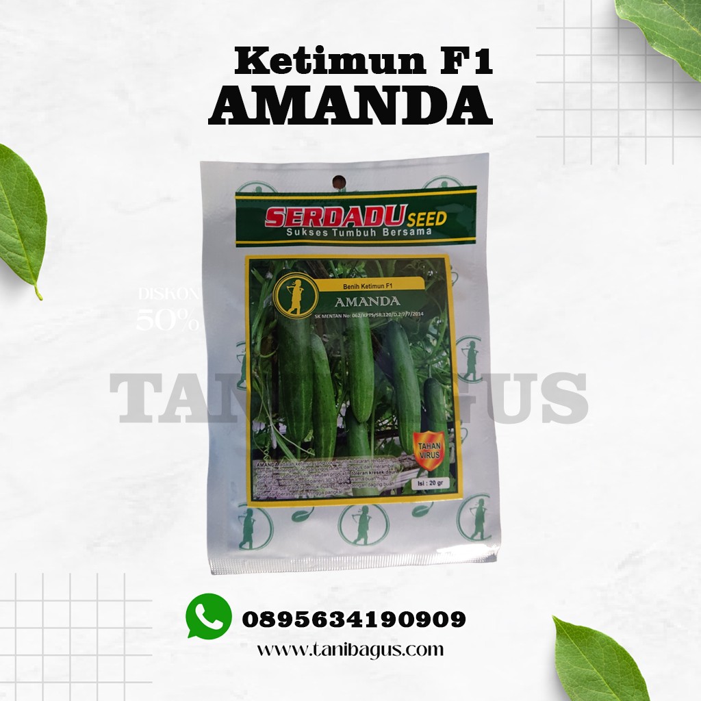 Benih Ketimun F1 Amanda - 20 GR