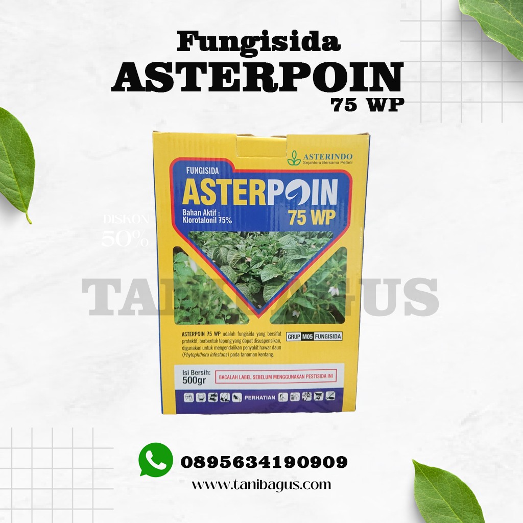 ASTERPOIN 75 WP - 500 GR
