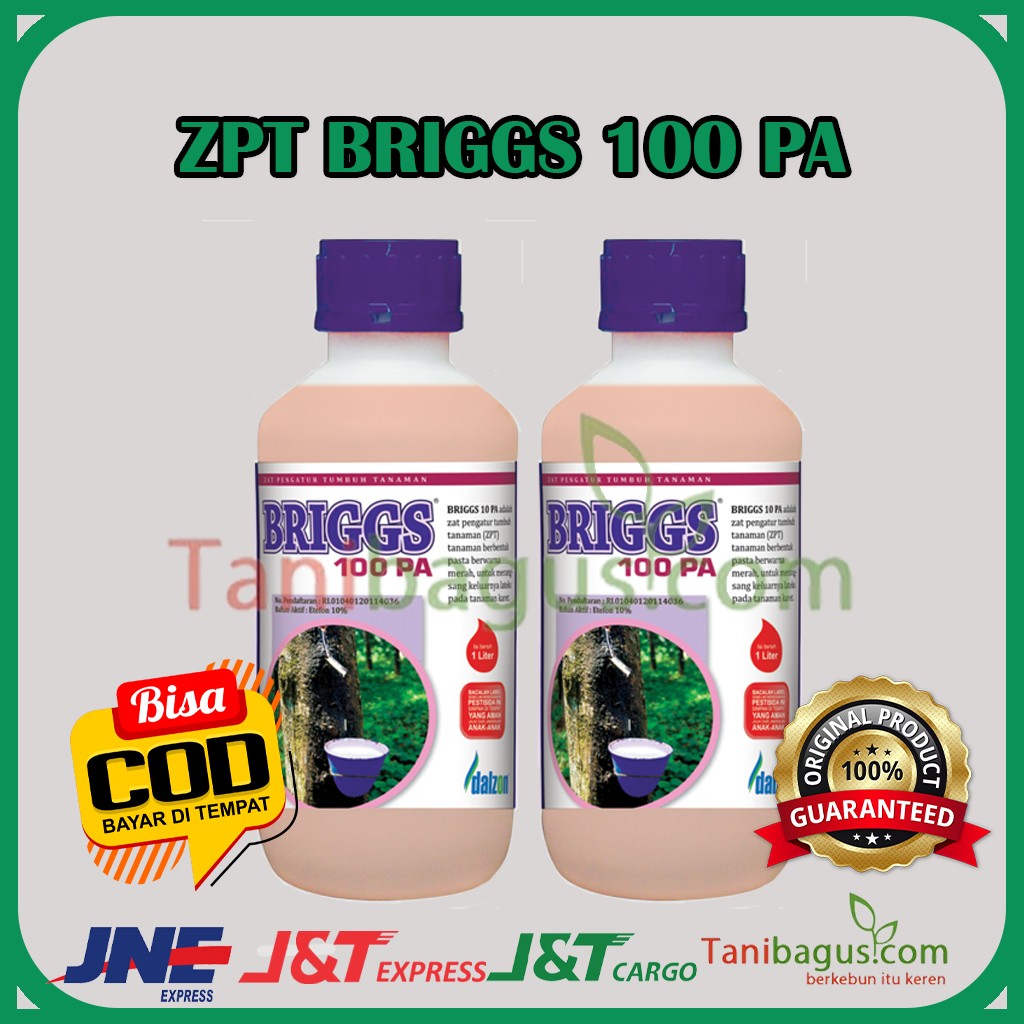 ZPT BRIGSS 100 PA