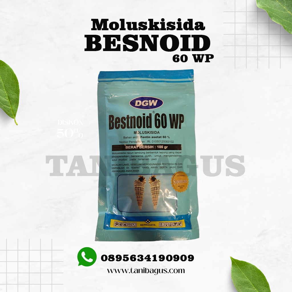 BESTNOID 60 WP - 100 GR