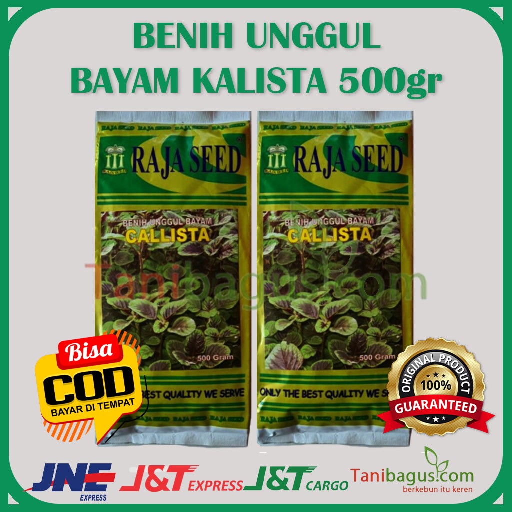 BENIH BAYAM KALISTA - 500 gr