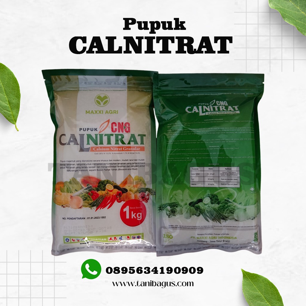 PUPUK CNG CALNITRAT -1KG