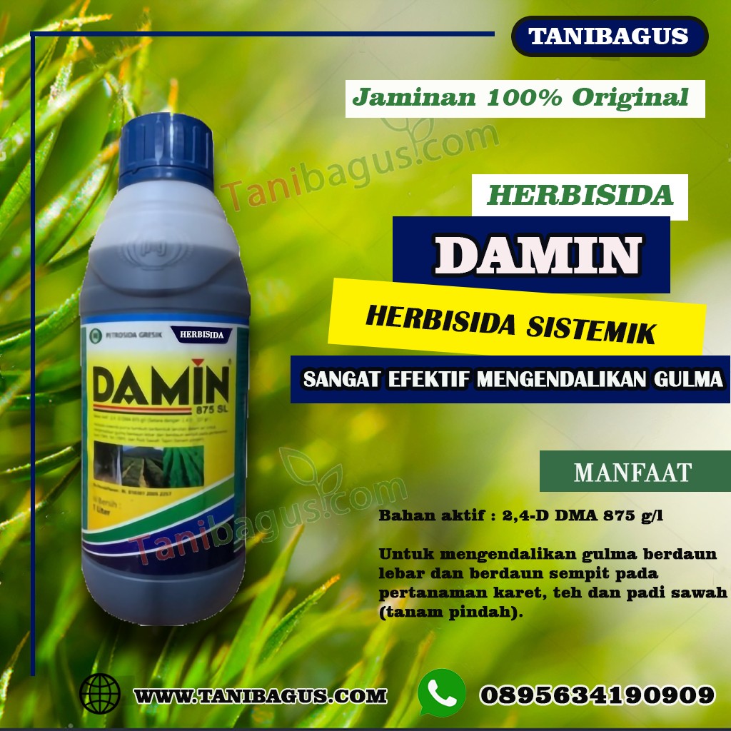 DAMIN 875 SL - 1 Liter