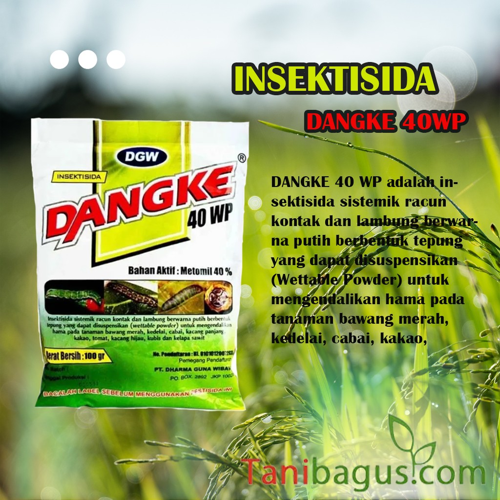 DANGKE 40 WP - 250 gr