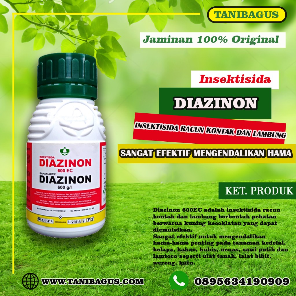 DIAZINON 600 EC - 100 ml
