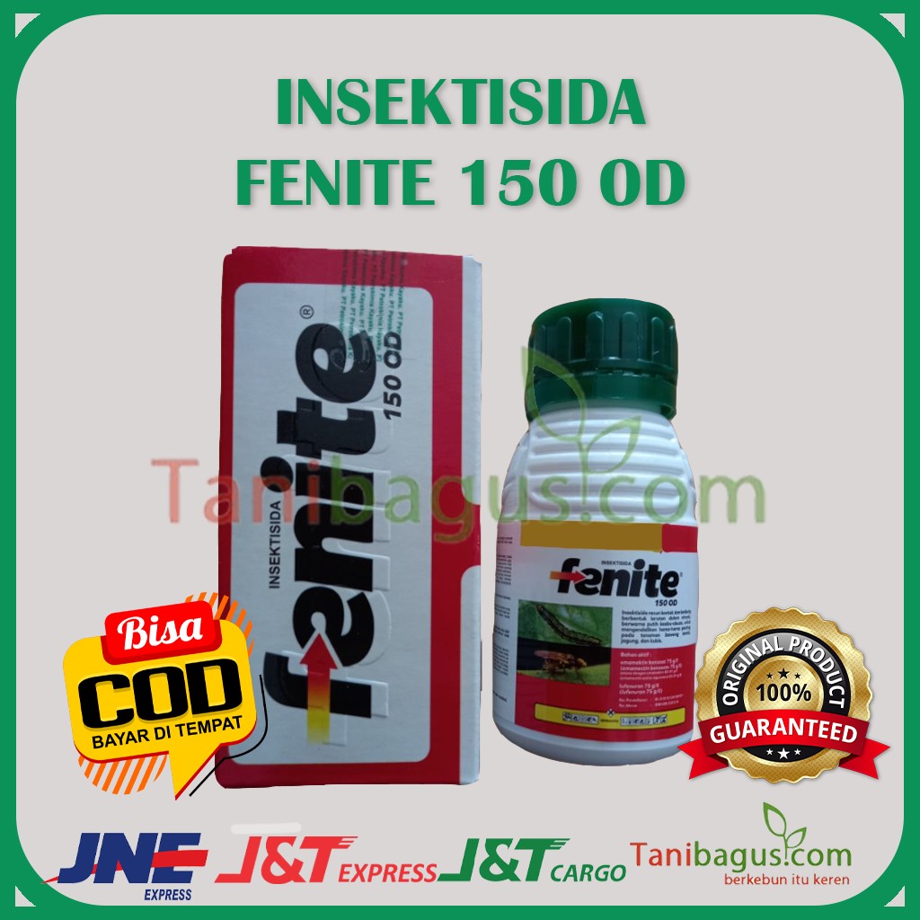 FENITE 150 OD - 100 ml