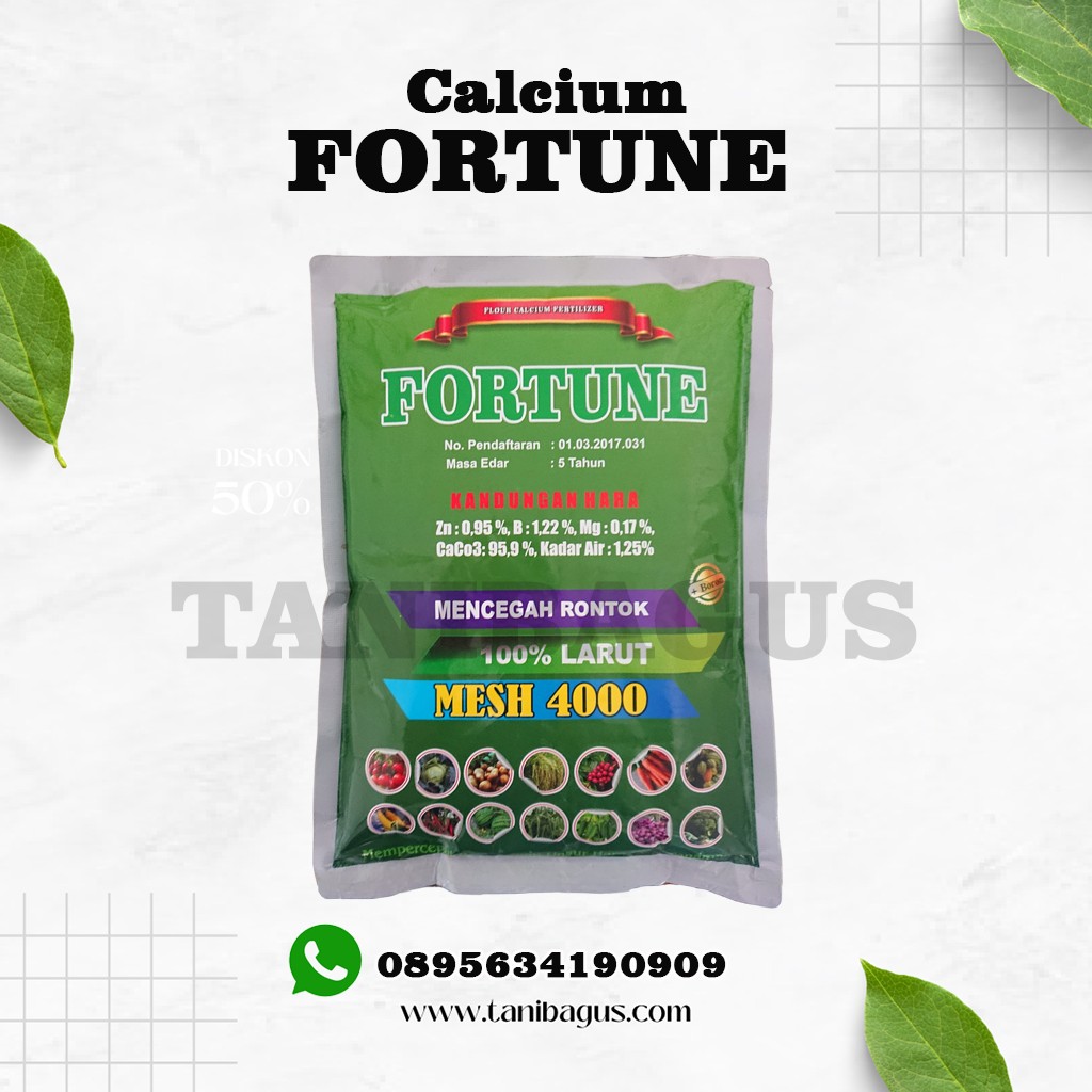 PUPUK FORTUNE - 1KG