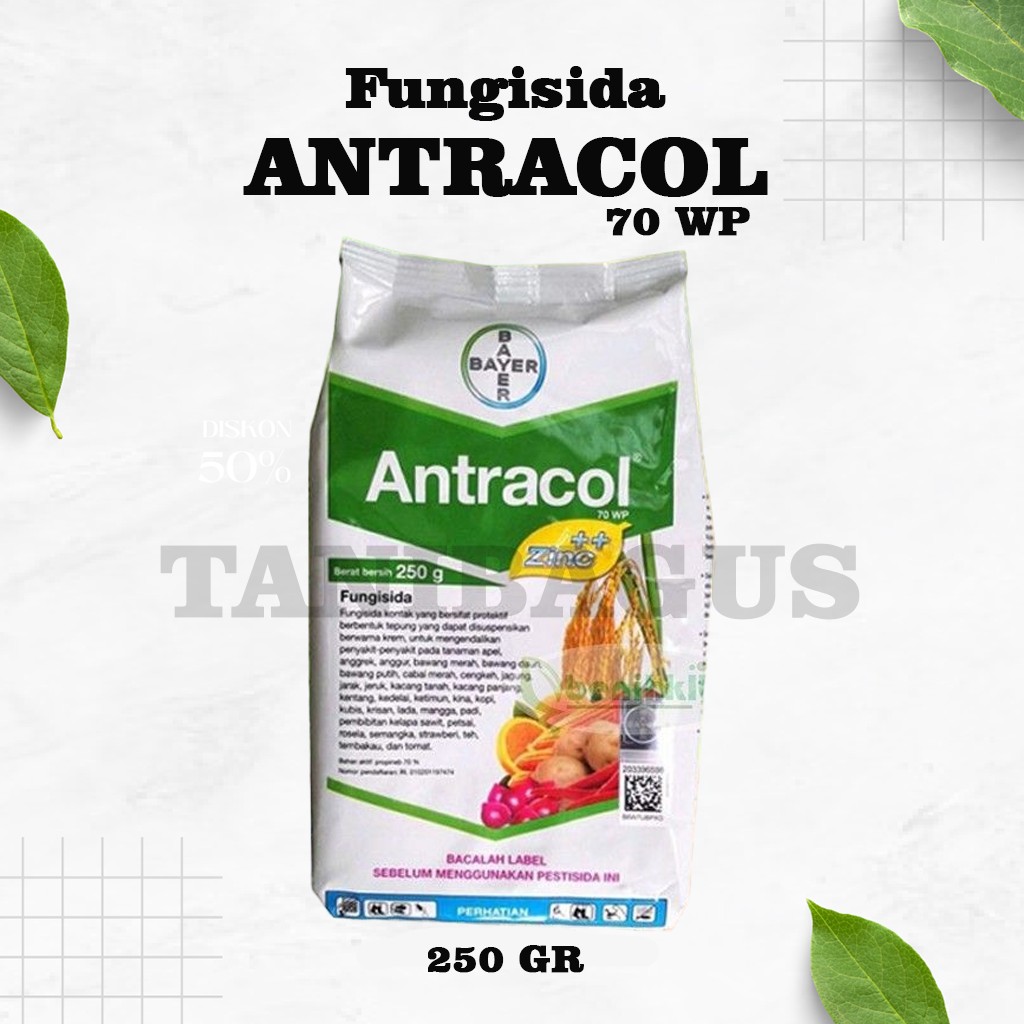 ANTRACOL 70 WP - 250 GR