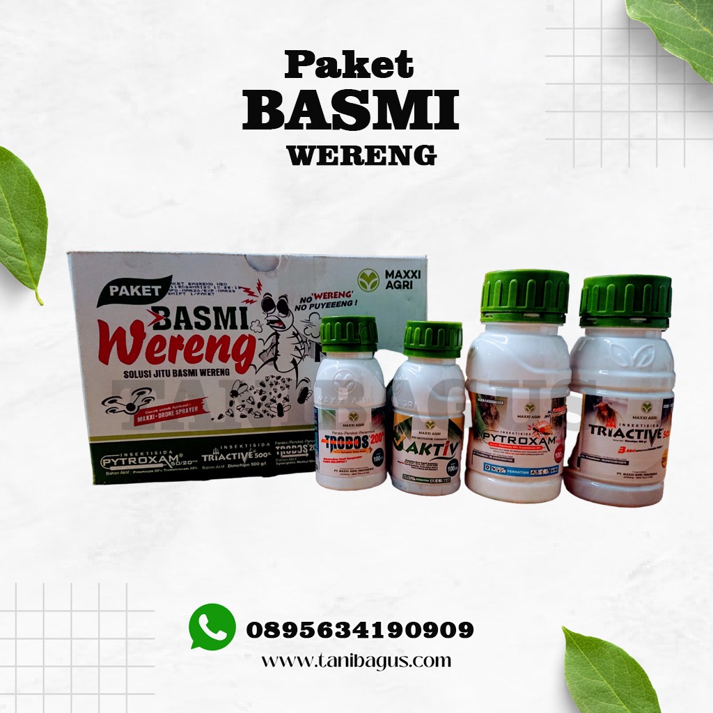 PAKET BASMI WERENG