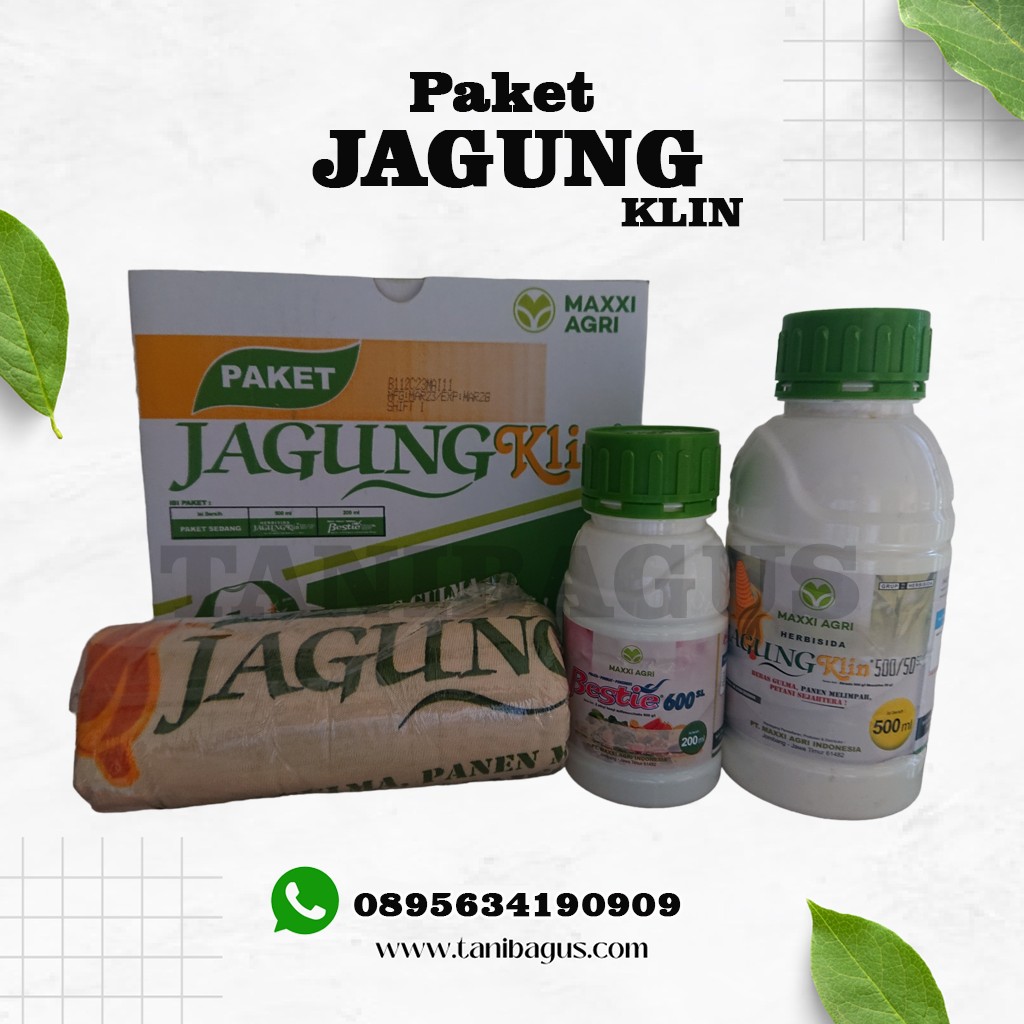 PAKET JAGUNG KLIN