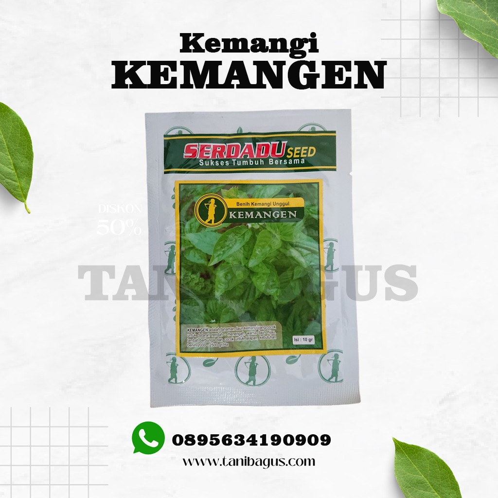 Benih Kemangi Kemangen 10 gr