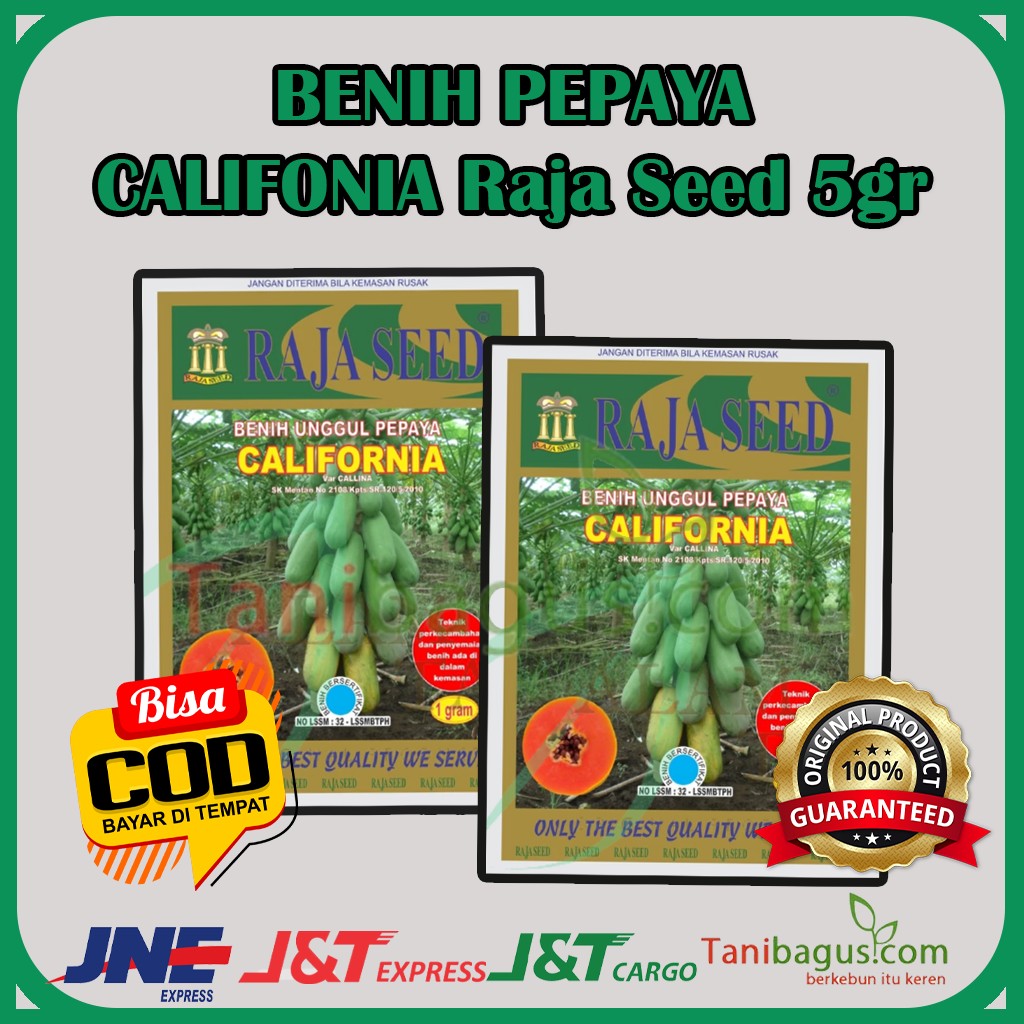 BENIH PEPAYA CALIFORNIA - 5 gr